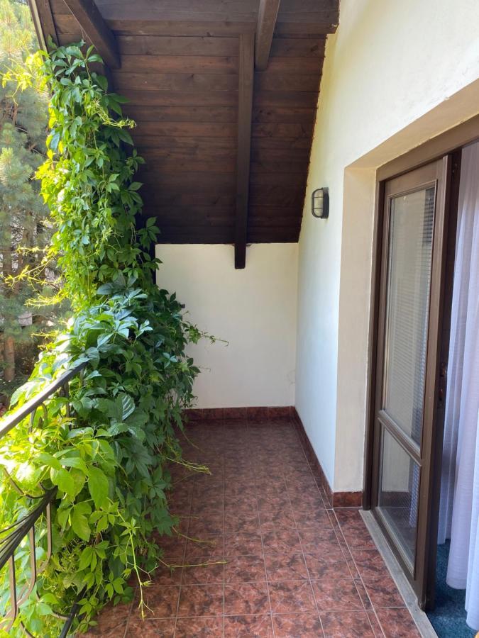 Penzion Country Club Hotel Zamberk Exterior photo